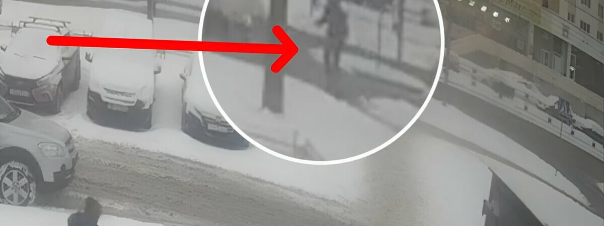 «Что можете сказать о содеянном?» – Водитель сбил мужчину в Минске и скрылся. Что ответил милиционерам? — Видео