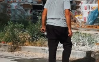 Водитель из Гомеля спас голубя из под колес - посмотрите видео