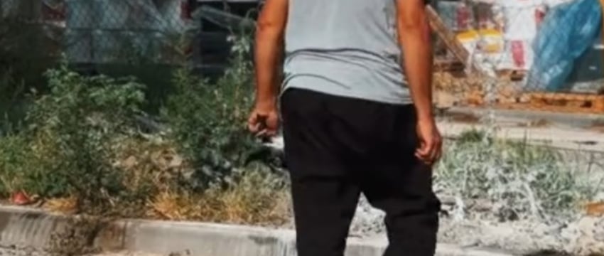 Водитель из Гомеля спас голубя из под колес - посмотрите видео