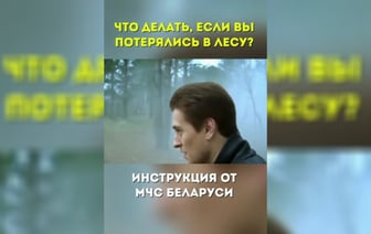 «А если это лес в Могилевской области?» — МЧС поделились правилами, если потерялись в лесу. Белорусы оценили «шедевр» — Видео