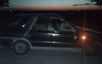 ДТП с лосем в Ляховичском районе: животное погибло