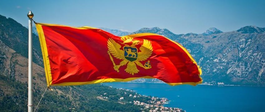 Лукашенко заявил о готовности развивать контакты с Черногорией