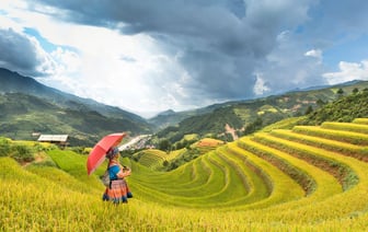 Рост экономик стран Азии в 2024 году могут составить 4,5%