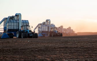В Беларуси начался сезон добычи торфа — сколько продукции планируют заготовить заводы