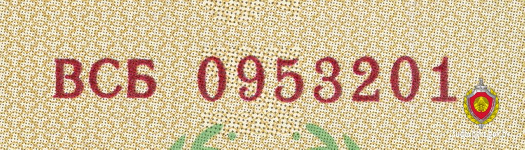 В Беларуси всплыли поддельные дипломы. Как отличили фальшивку?