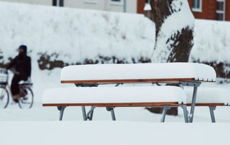 Гомельская велоактивистка Светлана Король обвиняется в клевете на Лукашенко и разжигании вражды