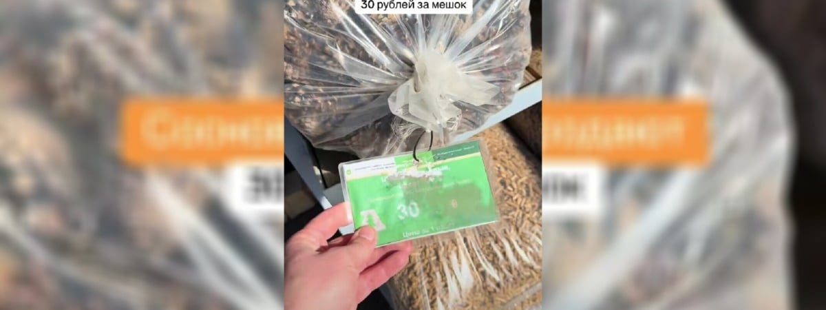 «А на фига?» — Белорусам предложили купить шишки по 30 рублей. Зачем — мнения в TikTok разделились — Видео