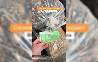 «А на фига?» — Белорусам предложили купить шишки по 30 рублей. Зачем — мнения в TikTok разделились — Видео