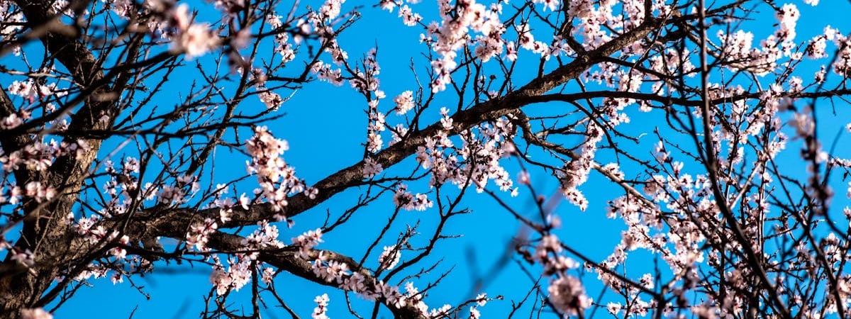 Президент Казахстана предложил разработать отдельную программу Erasmus+ для Центральной Азии