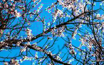 Президент Казахстана предложил разработать отдельную программу Erasmus+ для Центральной Азии