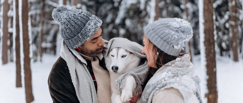 Для ремесленников и владельцев агроусадеб подняли налог с 2024 года