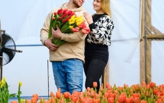 Молодая пара березовчан вырастила 50 тысяч тюльпанов