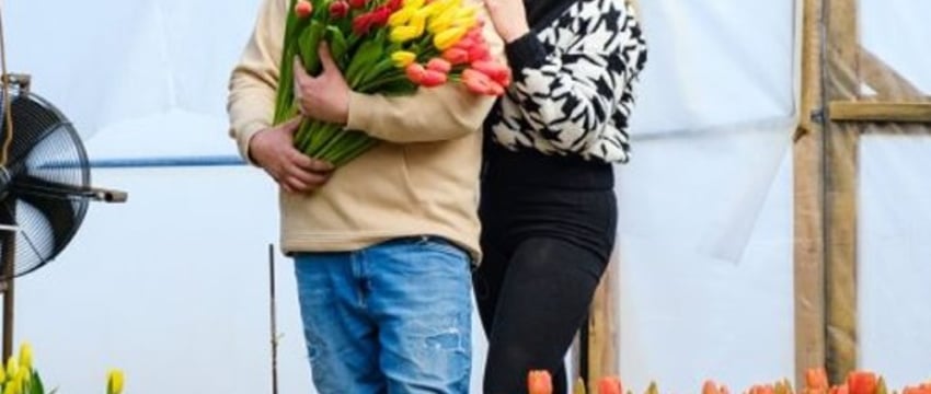 Молодая пара березовчан вырастила 50 тысяч тюльпанов
