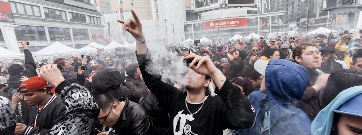 В Поставском районе незаконно вырубили 700 деревьев; прокуратура возбудила уголовное дело