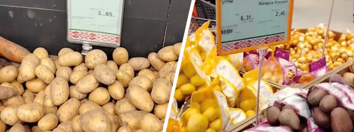 «А были времена» — Белорус пожаловался на картошку за 3,85 рубля в магазине. Подписчики сказали, куда ему идти — Видео