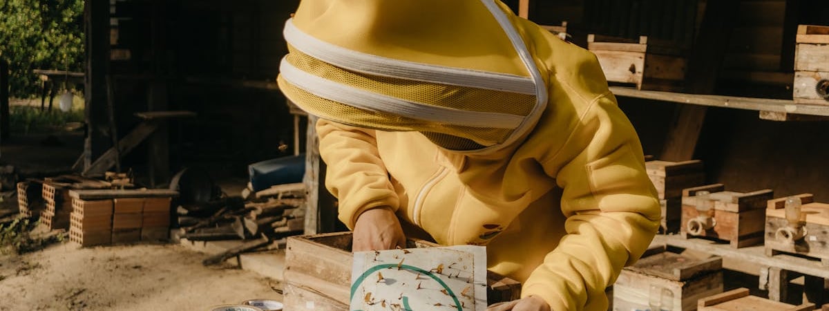 Белорусский рубль снижается к доллару на БВФБ