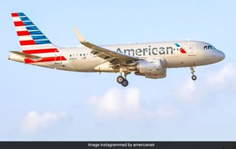 Самолет в США совершил вынужденную посадку из-за обнаружения вшей в волосах женщины