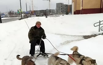 «У нас катаются на лайках» – 7-секундное видео из Бреста собрало треть миллиона просмотров — Видео