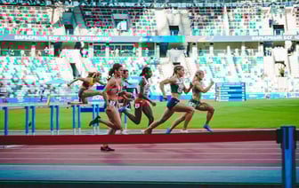 Символ земли белорусской. Стало известно, какой цветок победил в конкурсе «Растение 2025 года»