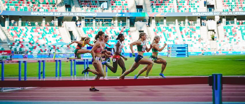 Символ земли белорусской. Стало известно, какой цветок победил в конкурсе «Растение 2025 года»