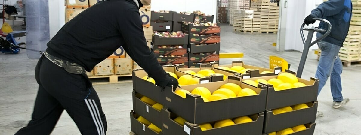 Минздрав предложил запретить магазинам, расположенным в жилых домах, разгружать машины с 23:00 до 7:00