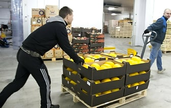 Минздрав предложил запретить магазинам, расположенным в жилых домах, разгружать машины с 23:00 до 7:00
