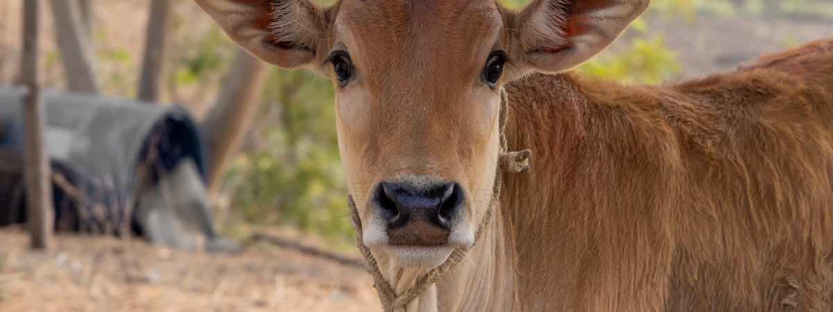 Бывшую главу стачкома «Нафтана» обвиняют по статье о разжигании вражды