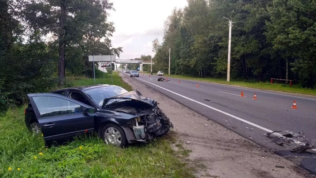 Лось спровоцировал тяжелое ДТП с двумя автомобилями