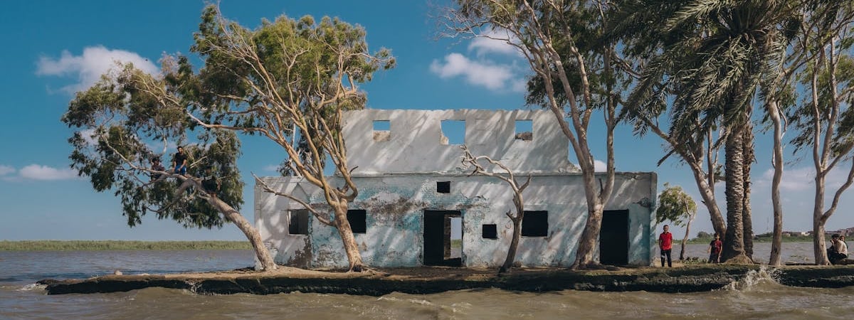 Наводнение нанесло чешским государственным лесам ущерб в размере €8 млн