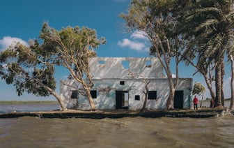 Наводнение нанесло чешским государственным лесам ущерб в размере €8 млн