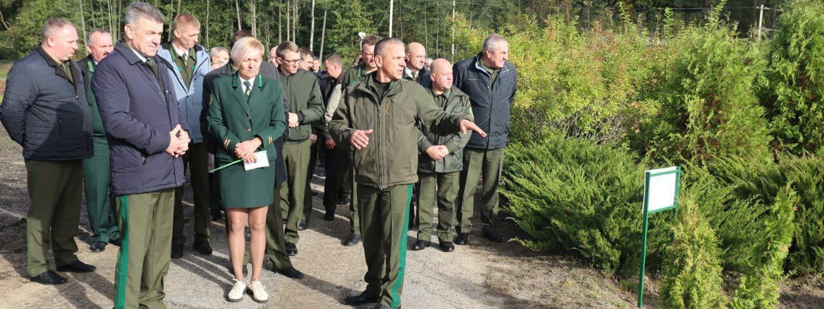 Глава Минлесхоза потребовал выращивать это в каждой области Беларуси. За какую зарплату похвалил гомельских лесников? — Фото