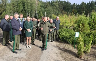 Глава Минлесхоза потребовал выращивать это в каждой области Беларуси. За какую зарплату похвалил гомельских лесников? — Фото