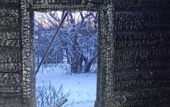 Женщина и ее племянник сгорели в Белыничском районе