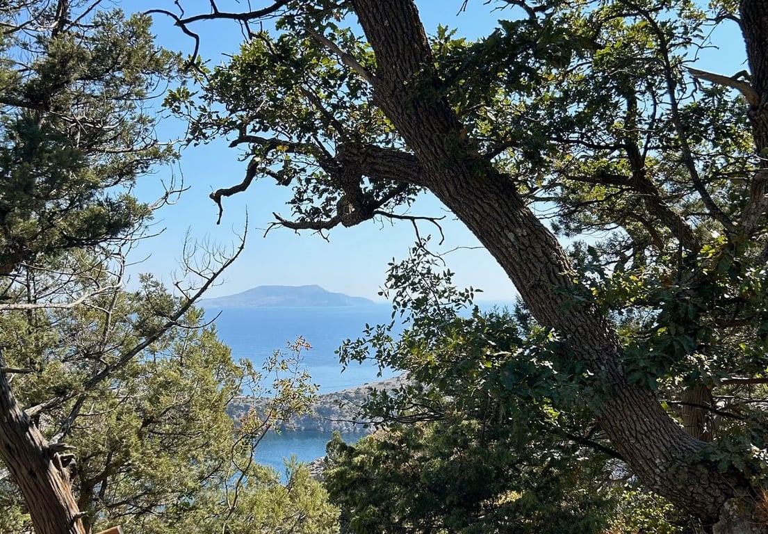 Белорусы рассказали, как дёшево съездили на море на китайском кроссовере