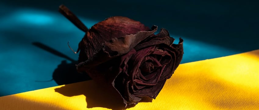 Война в Украине приобретает очертания войны четвертого поколения, – эксперт