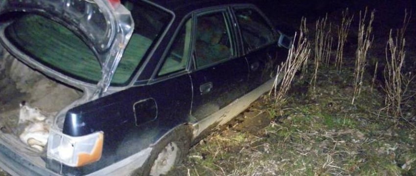 Бросил добычу и авто: мужчина, застрелив косулю, пытался скрыться под Пинском