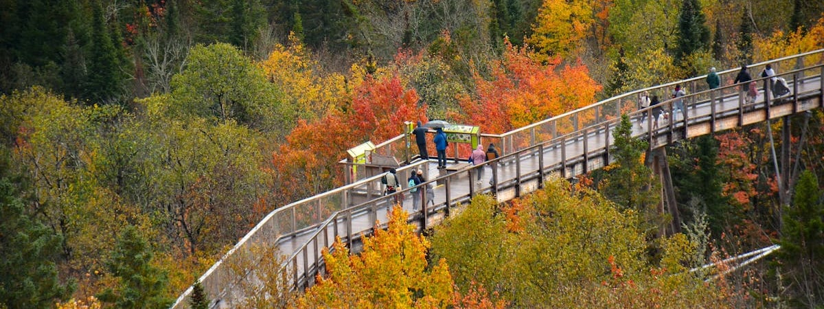 Китай грозится ответить Канаде за пошлины на электромобили и сталь