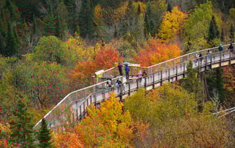 Китай грозится ответить Канаде за пошлины на электромобили и сталь