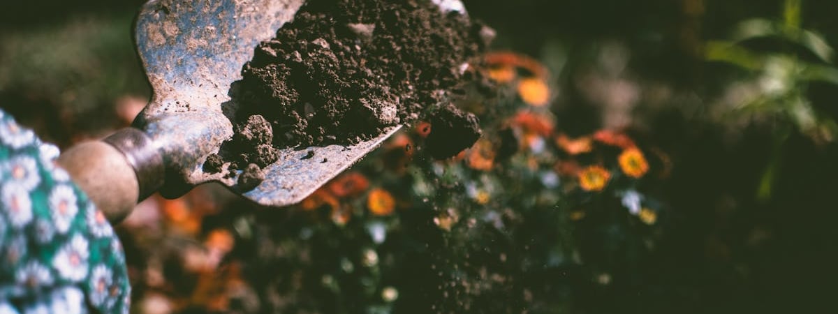 Частный сектор еврозоны неожиданно сокращает активность