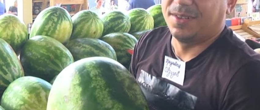 Продавец на рынке в Бресте рассказал, как выбрать арбуз
