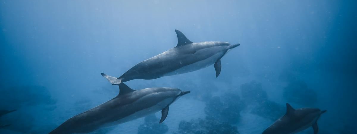 Страны G7 с 20 февраля усилят меры для соблюдения предельных цен на нефть из РФ