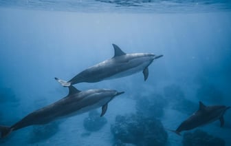 Страны G7 с 20 февраля усилят меры для соблюдения предельных цен на нефть из РФ