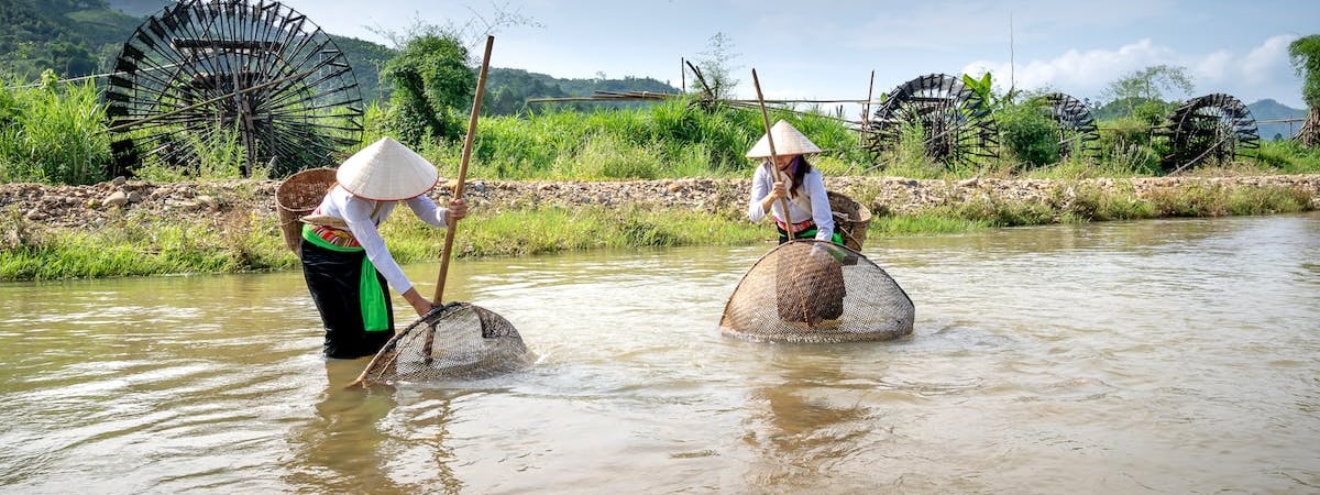 Сотрудники крупного минского рыбоконсервного комбината не получают зарплату более 5 месяцев; они записали обращение к Лукашенко