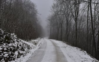 Теплое дыхание Атлантики. Какой будет погода в Полоцке и Новополоцке на неделе?