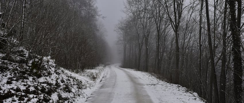 Теплое дыхание Атлантики. Какой будет погода в Полоцке и Новополоцке на неделе?