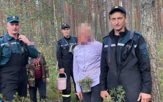 Мать и дочь потерялись в Бобруйском районе – испугались, но ягоды не бросили