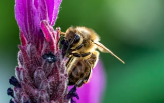 Жизнь дороже азарта. Полоцкая инспекция призывает соблюдать правила безопасности на охоте