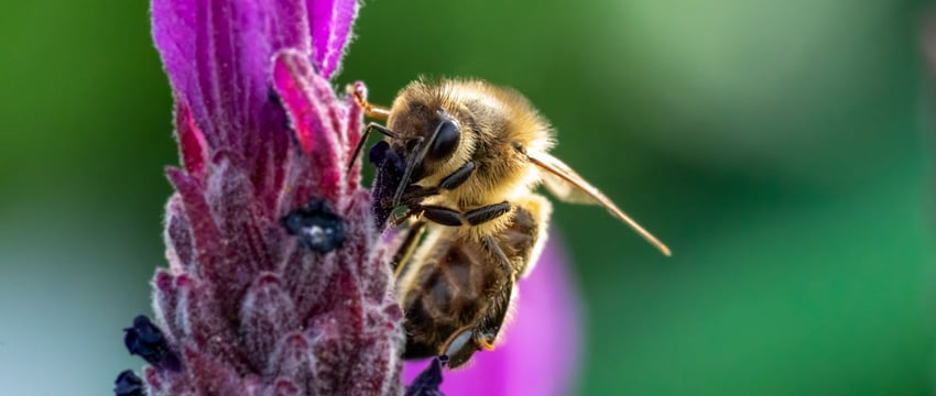 Жизнь дороже азарта. Полоцкая инспекция призывает соблюдать правила безопасности на охоте
