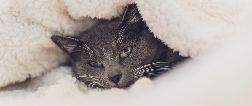 Отключать отопление в Витебске начнут уже сегодня