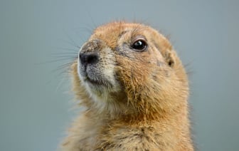 «Так завораживает, что больше ничего смотреть не хочется». Россияне рассказали, ради чего стоит поехать в Полоцк